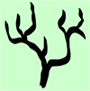 WalthamSoft tree logo